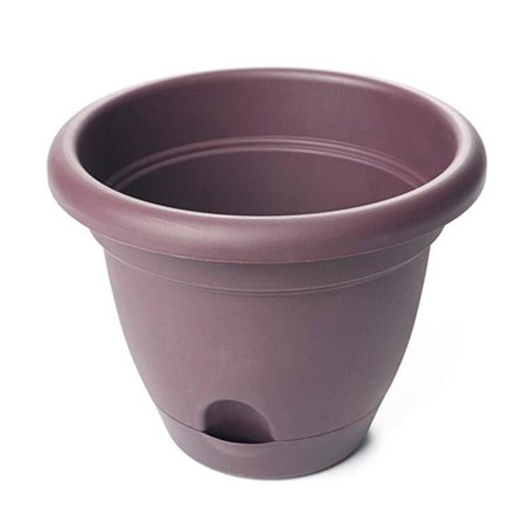 Bloem Lucca Exotica Planters (Pack of 12)