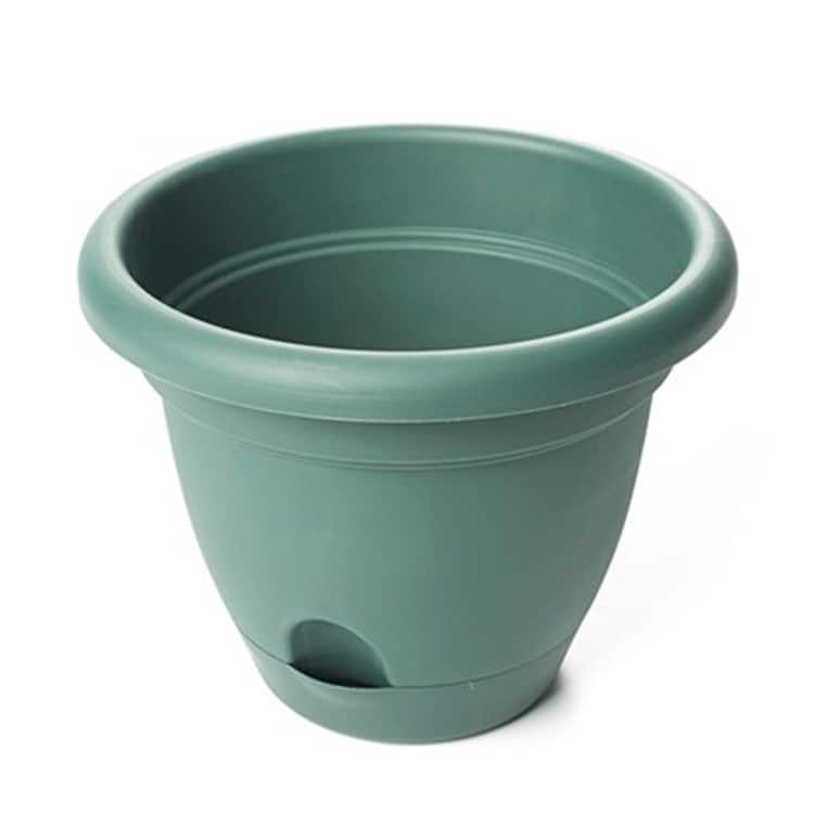 Bloem Lucca Midsummer Night Planters (Pack of 12)