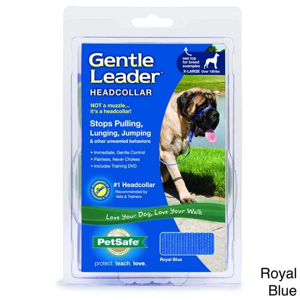 feline adoption center