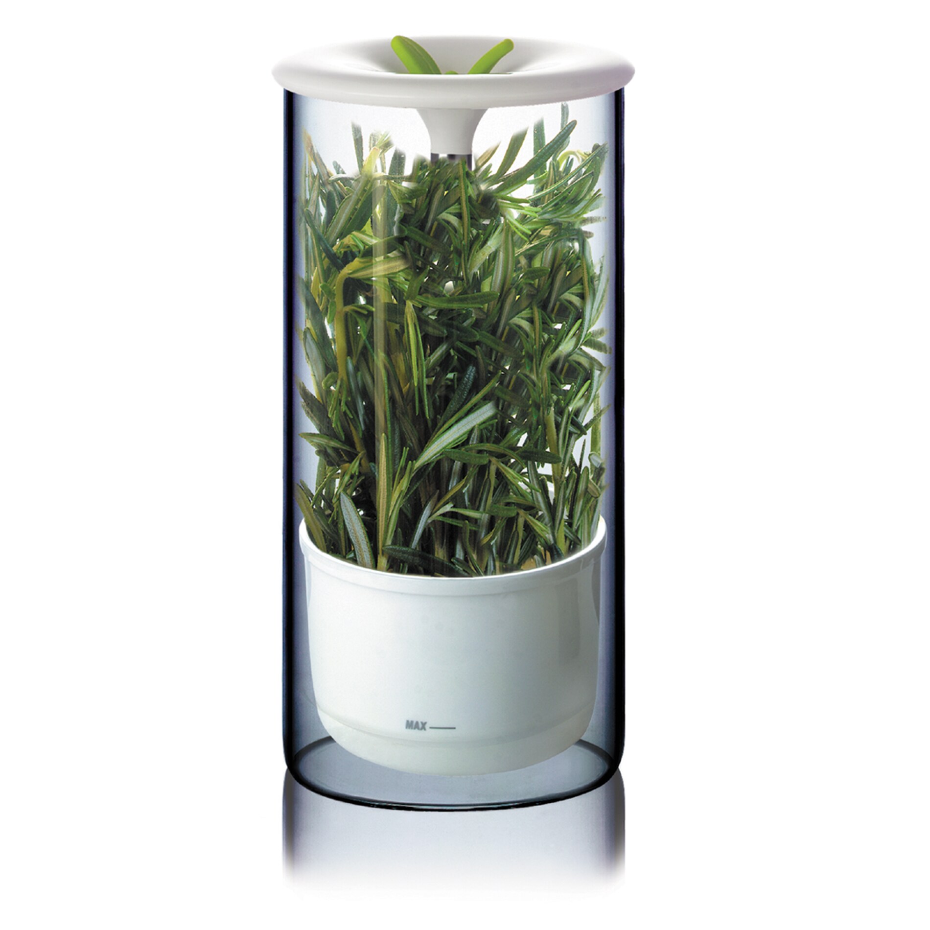 Art and Cook Fresh Herb Keeper Flavor Savor