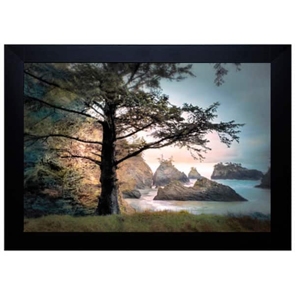 William Vanscoy 'All Day Dreamer' Framed Art Print Bed Bath & Beyond