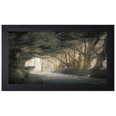 William Vanscoy 'Inside A Dream' Framed Art Print - Multi