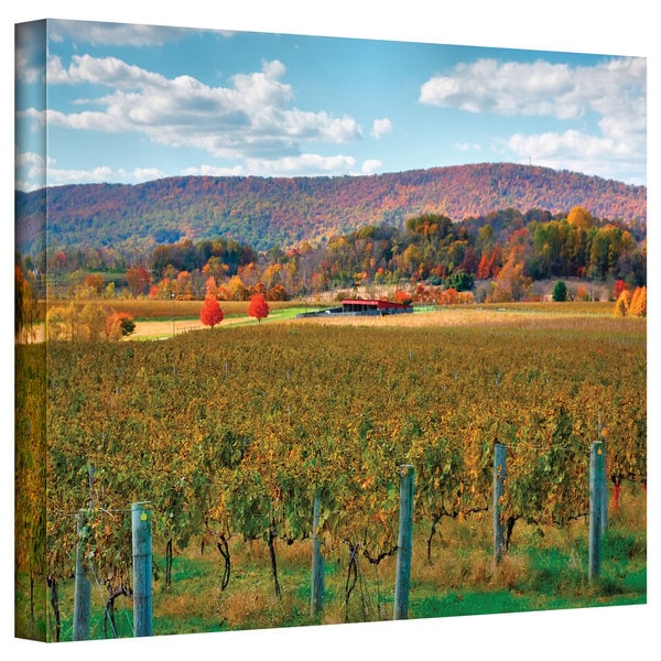 Steven Ainsworth Vineyard in Autumn Gallery Wrapped Canvas
