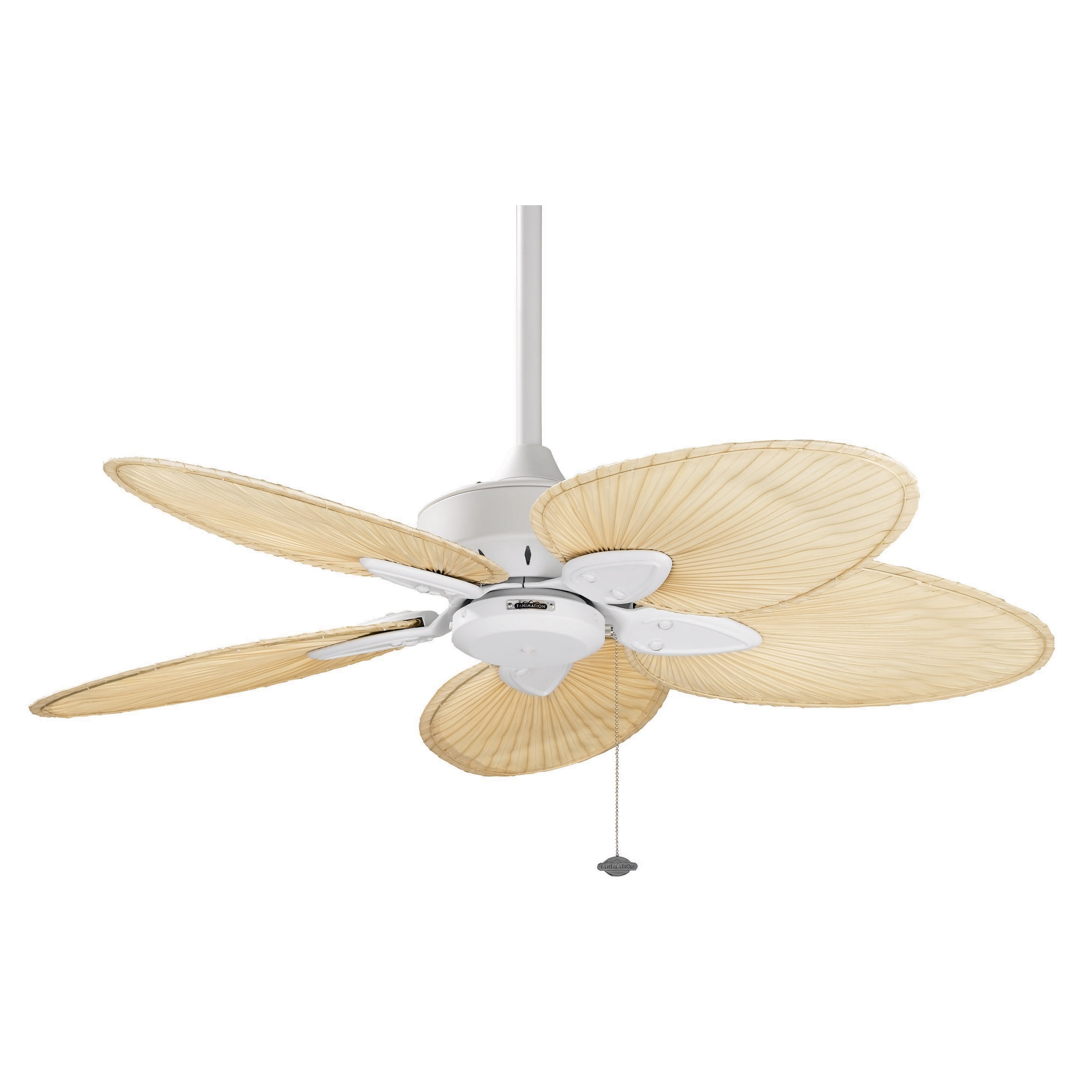 Shop Fanimation Windpointe 44 Inch Matte White Palm Blades Ceiling