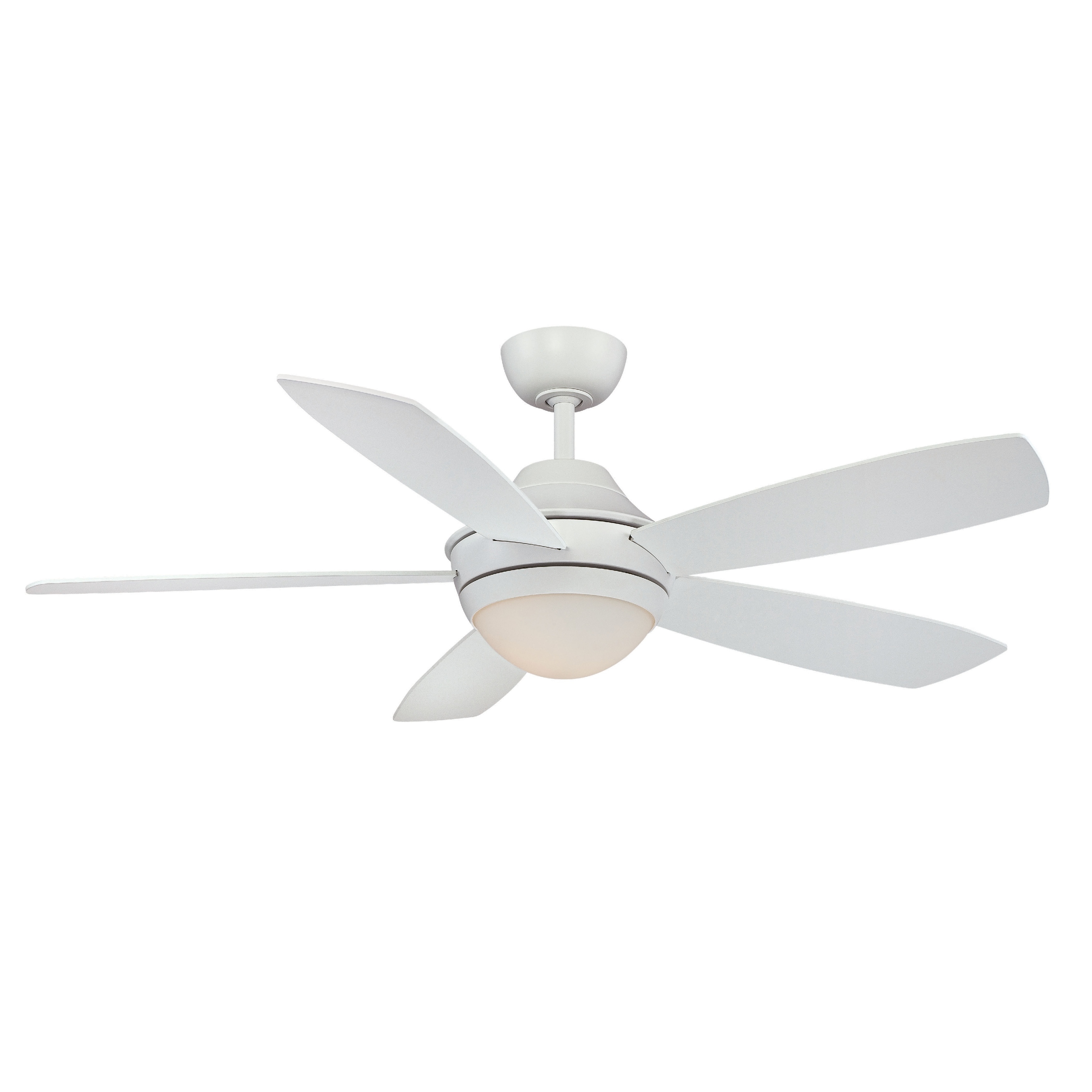 Fanimation Celano 54 inch 1 light Ceiling Fan