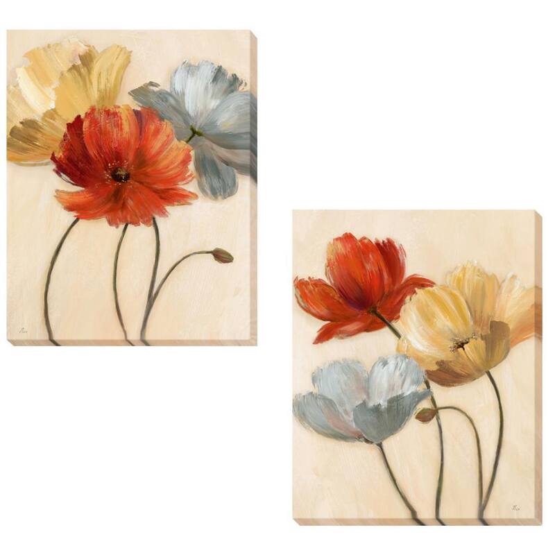 Nan 'Poppy Palette I and II' 2-piece Canvas Set