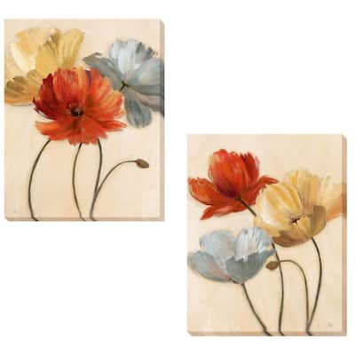 Nan 'Poppy Palette I and II' 2-piece Canvas Set