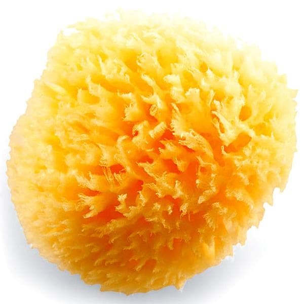 baby natural bath sponge