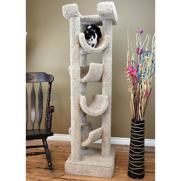 new cat tree