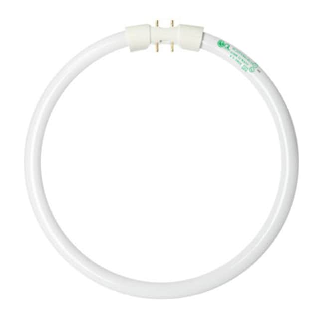 Goodlite-FC22T5/841/ECO 22W T5 Circline 9-inch Fluorescent Tube Bulbs of 30) - White - - 8116635