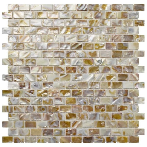 seashell subway tile