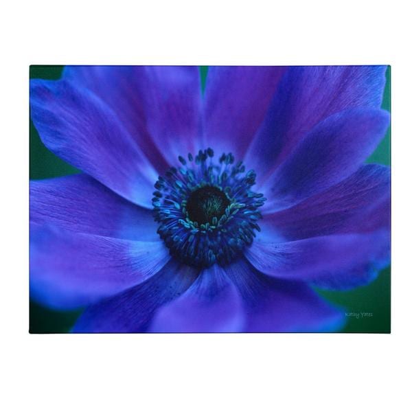 Ready2hangart Painted Petals LII Canvas Wall Art