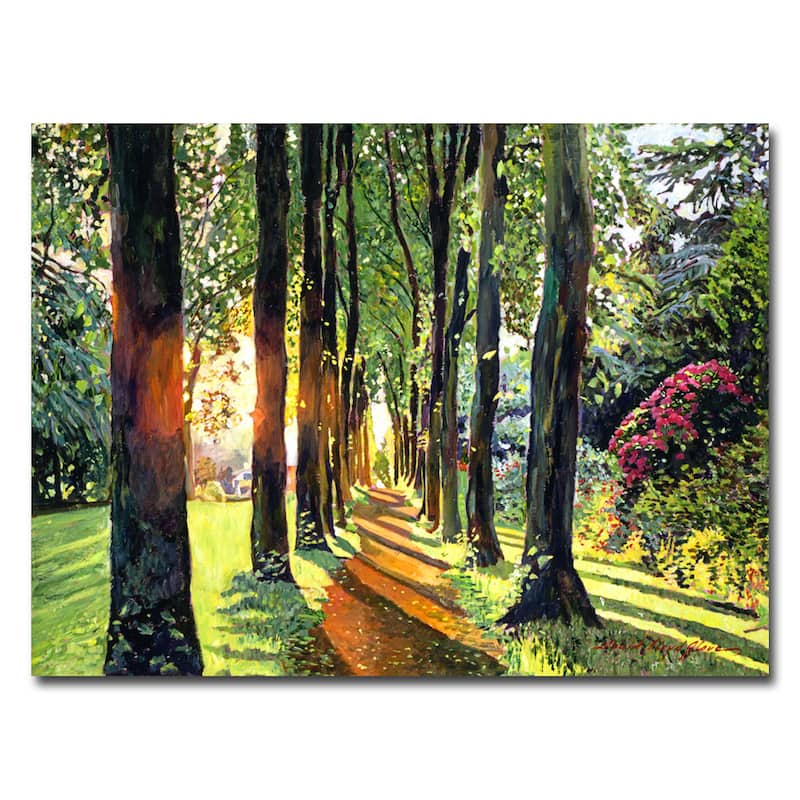 David Lloyd Glover 'Forest of Enchantment' Canvas Art - Multi