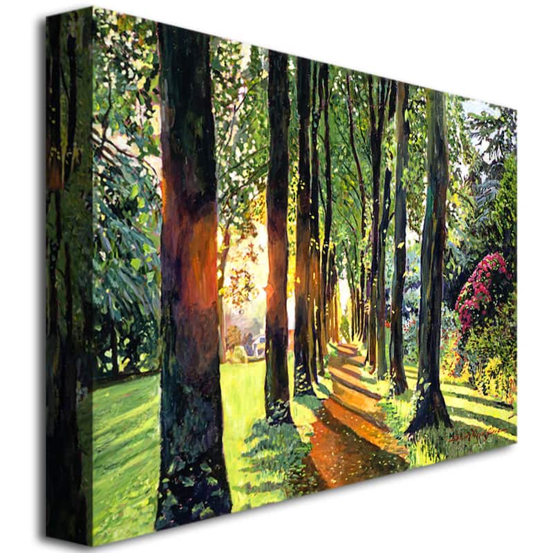 David Lloyd Glover 'Forest of Enchantment' Canvas Art - Multi