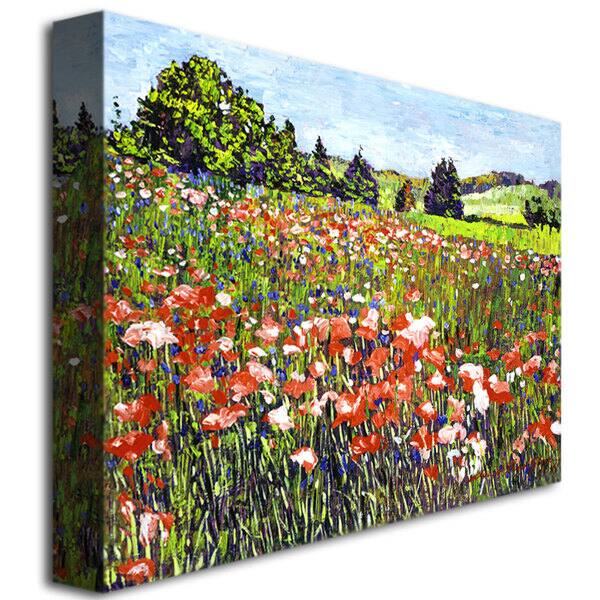 David Lloyd Glover 'Poppy Fields of France' Canvas Art - Overstock ...