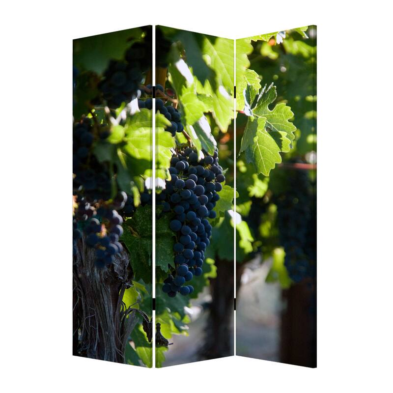 Wine Country 3-Panel Canvas Screen