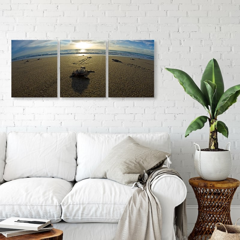 Chris Doherty 'Loggerhead' Canvas Art 3-piece Set