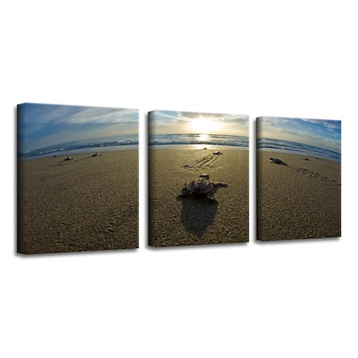 Chris Doherty 'Loggerhead' Canvas Art 3-piece Set