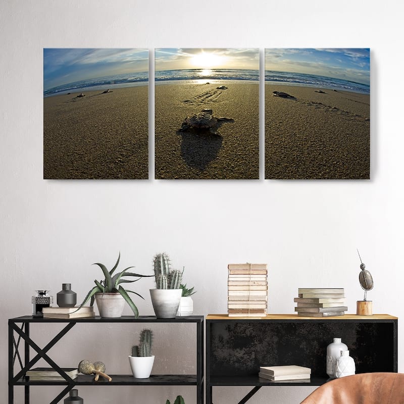 Chris Doherty 'Loggerhead' Canvas Art 3-piece Set