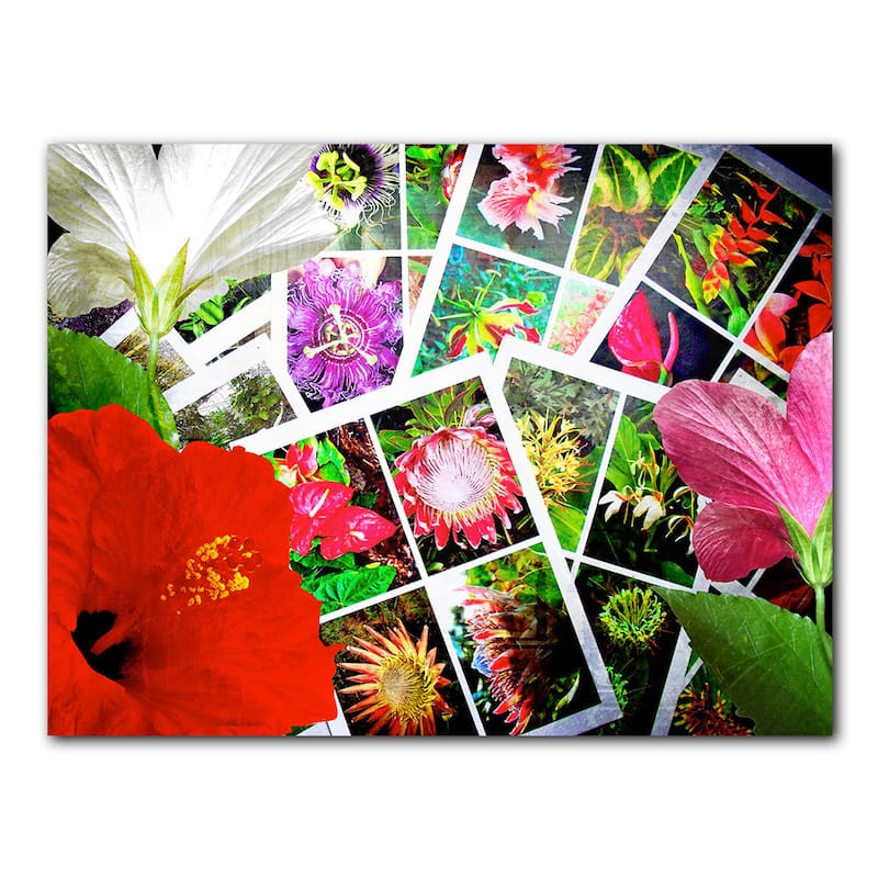 Ready2HangArt 'Tropical Flowers' Canvas Wall Art