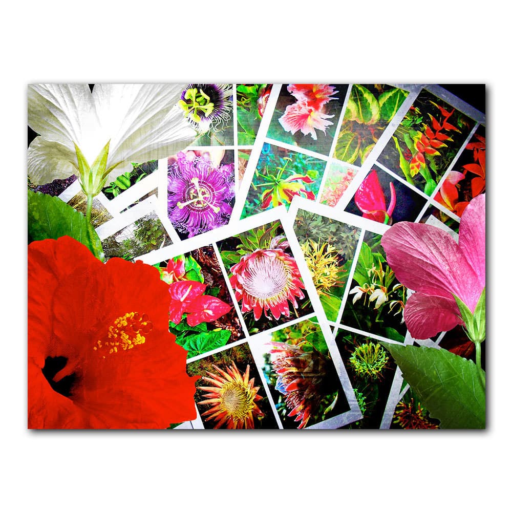 Ready2HangArt 'Tropical Flowers' Canvas Wall Art