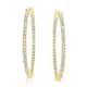 Option Yellow Gold