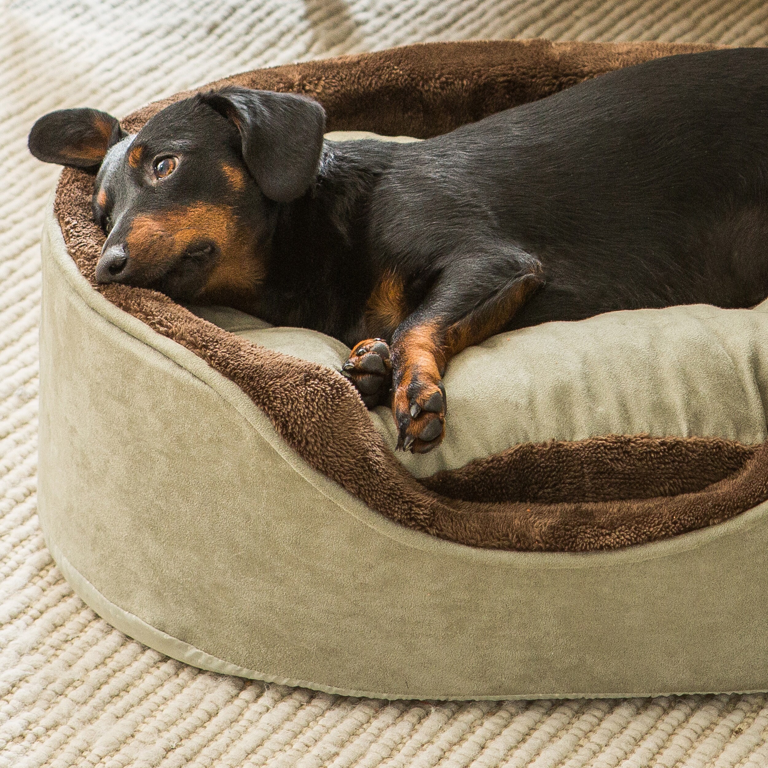 Soft Touch Faux Suede Oval Cuddler Pet Bed Bed Bath Beyond 8187903