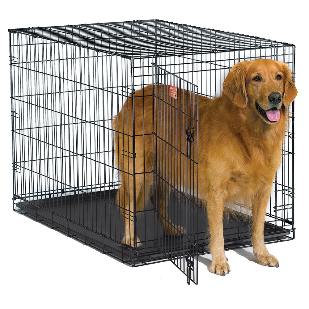 icrate dog crate