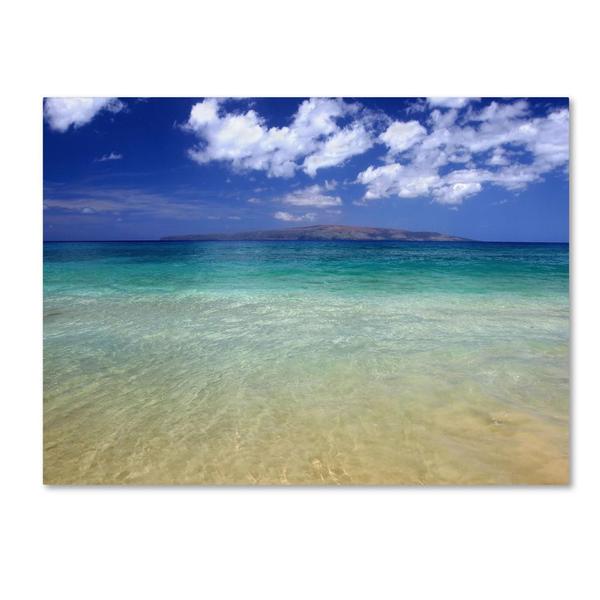 Shop Pierre Leclerc 'Hawaii Blue Beach' Canvas Art On Sale Free