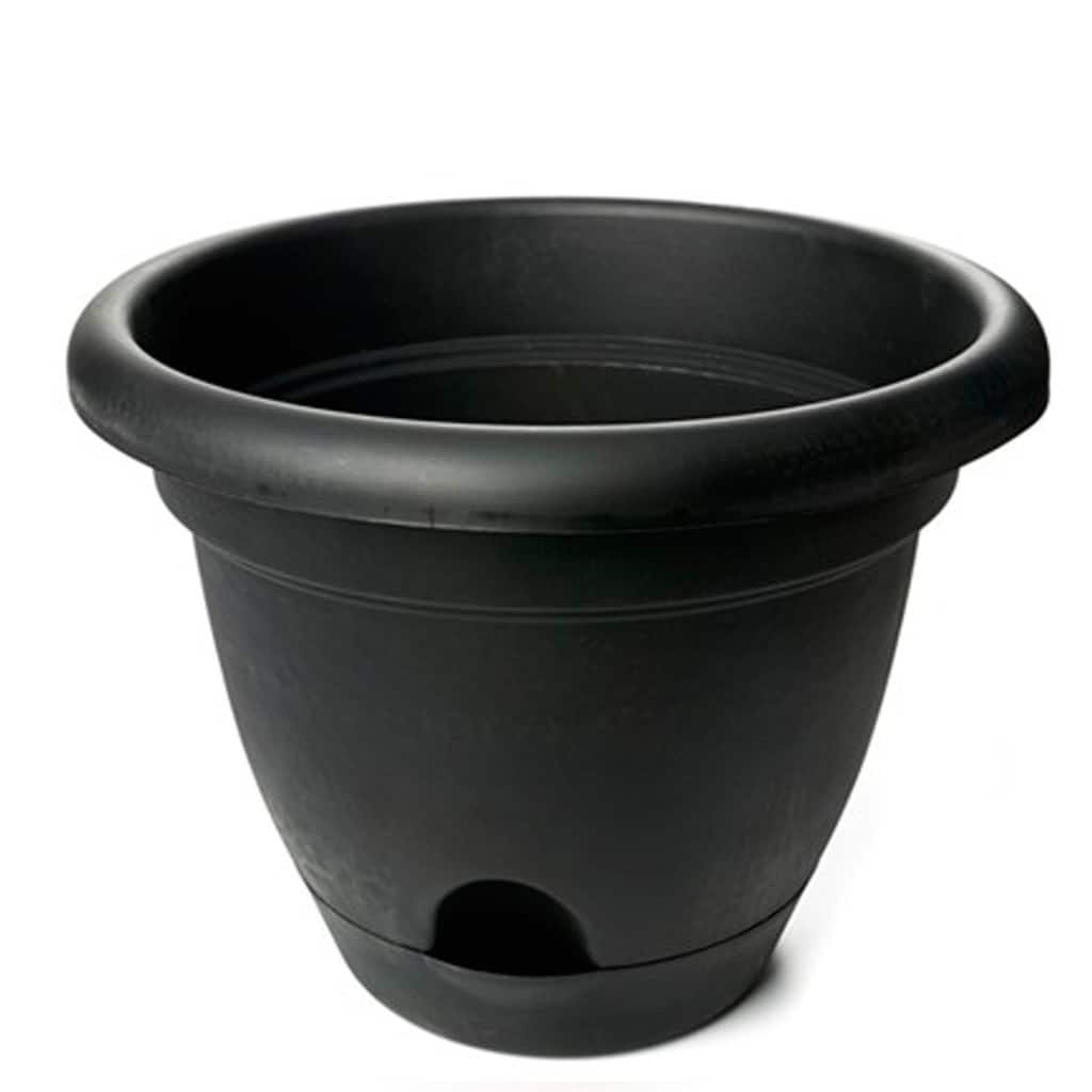 Bloem Black Lucca Planter (Pack of 6)