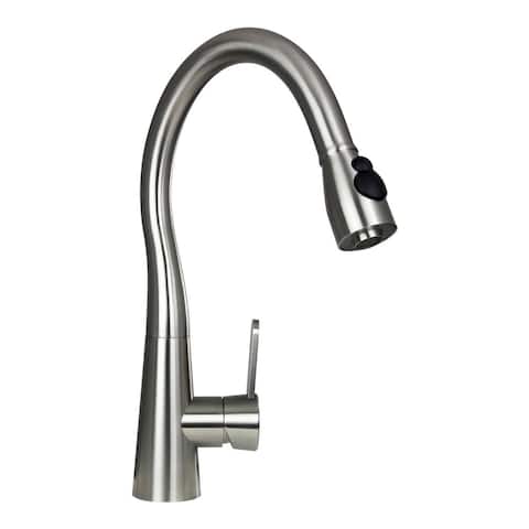 Boann 'Sophia' 16.75-inch Stainless Steel Pull-out Kitchen Faucet