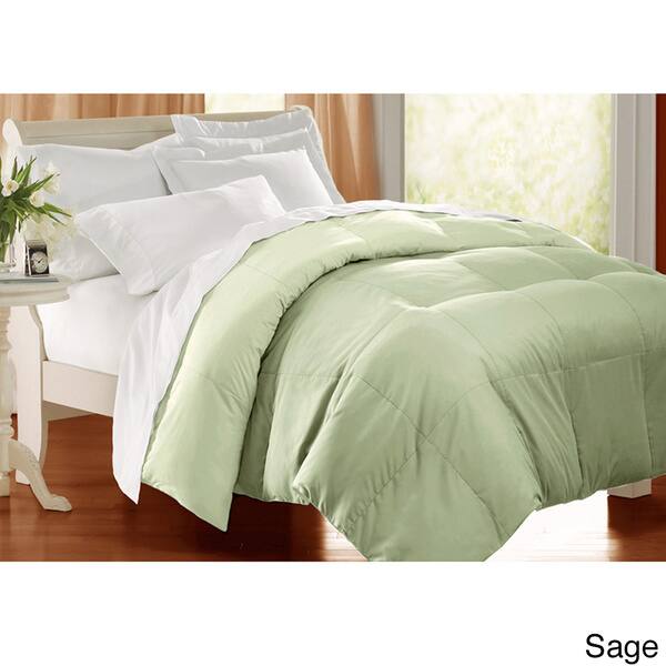 Shop All Season 233 Tc Cotton Solid Color Down Alternative Comforter On Sale Overstock 8236975
