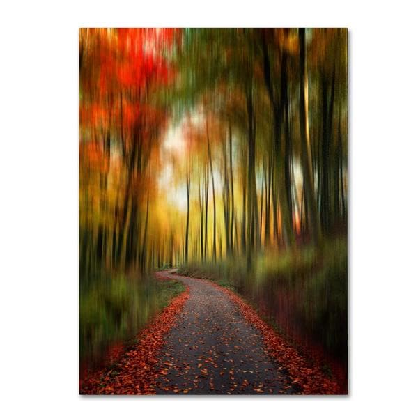 Shop Philippe Sainte-Laudy 'The Lost Path' Canvas Art - Free Shipping ...