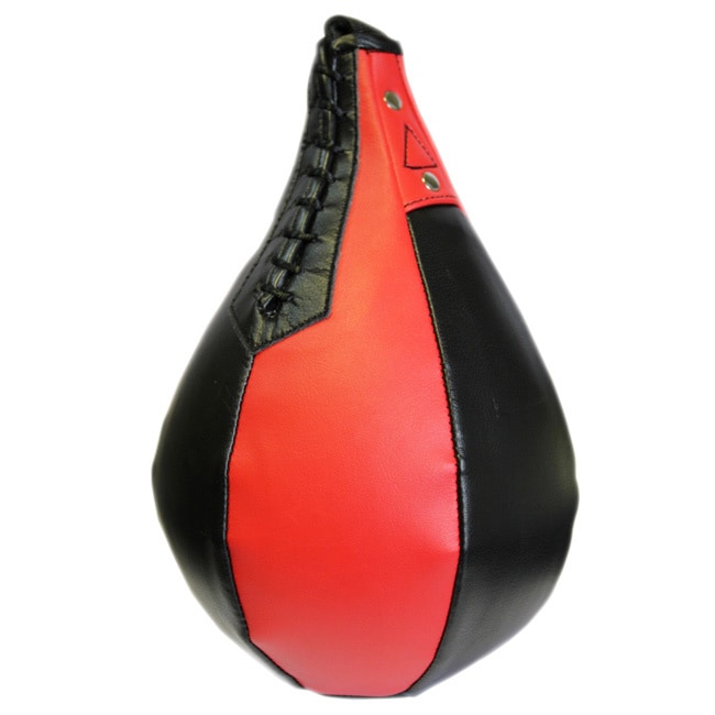 Ca 13 Speed Bag