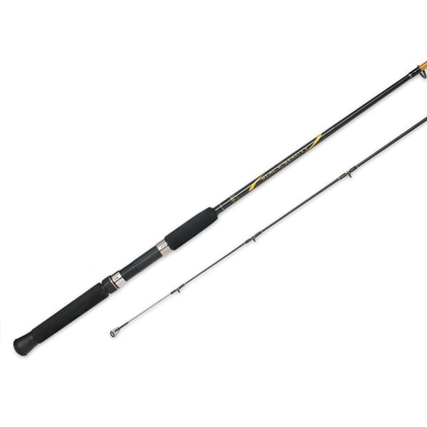 South Bend Black Beauty 2 Bigwater Spinning Rod Free