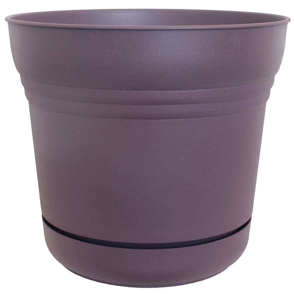 Bloem Exotica Saturn Planters (Pack of 12)