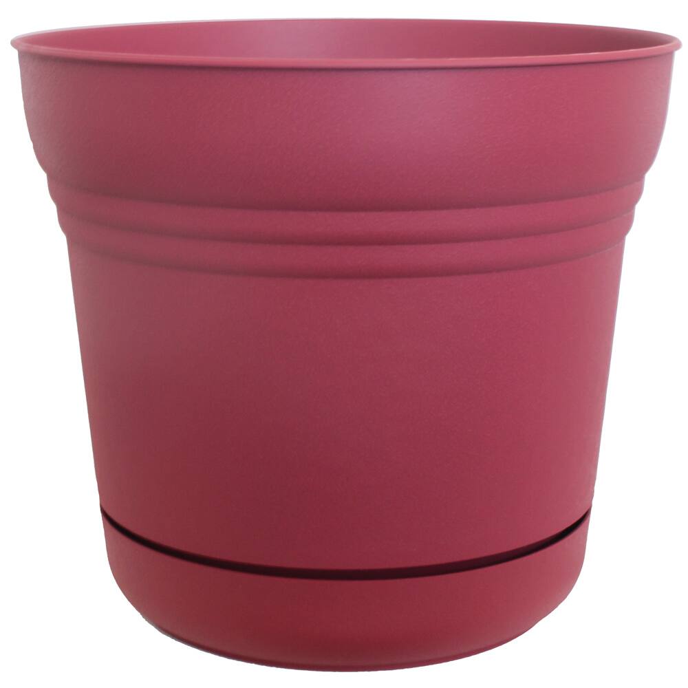 Bloem Union Red Saturn Planters (Pack of 12)