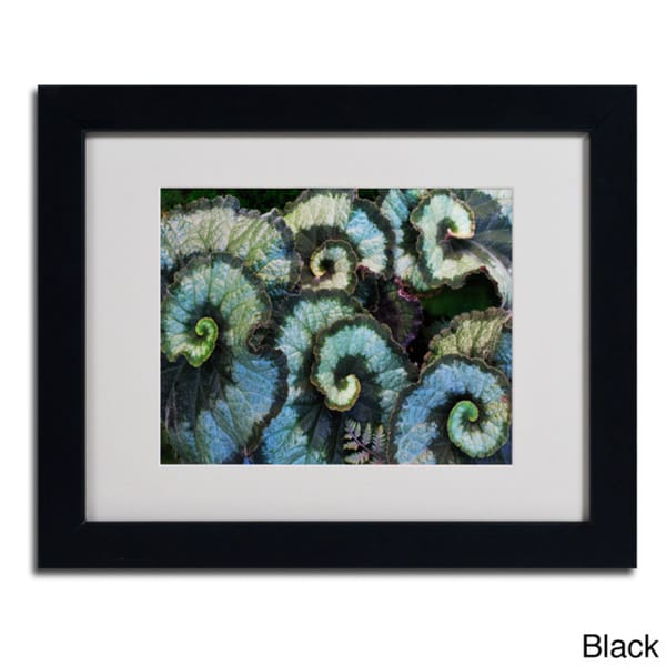 Kurt Shaffer Escargot Begonia Framed Matted Art