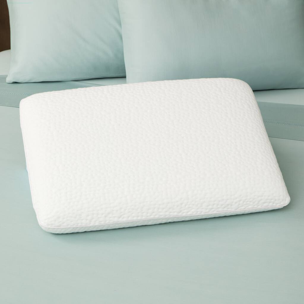 Sharper Image Big Dreams Premium Gel Memory Foam Pillow