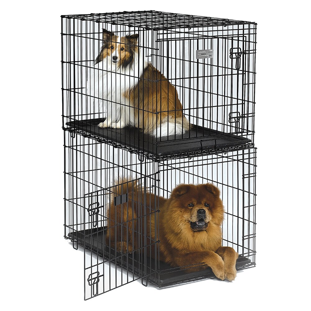dog kennel solutions