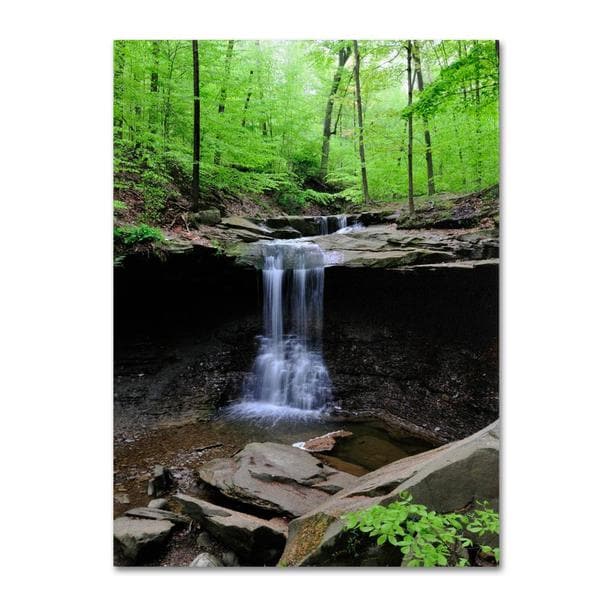 Kurt Shaffer Blue Hen Falls Canvas Art   Shopping   Top