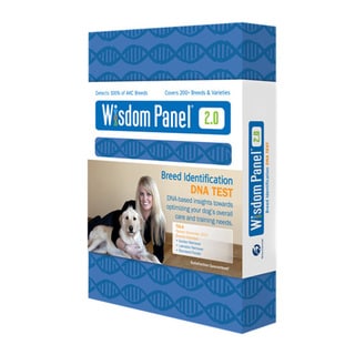Akc dna test kit coupon