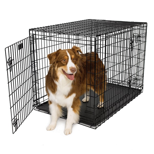 midwest ultima pro dog crate