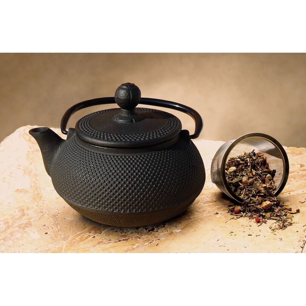 Cast Iron 'Sapporo' 20-ounce Teapot