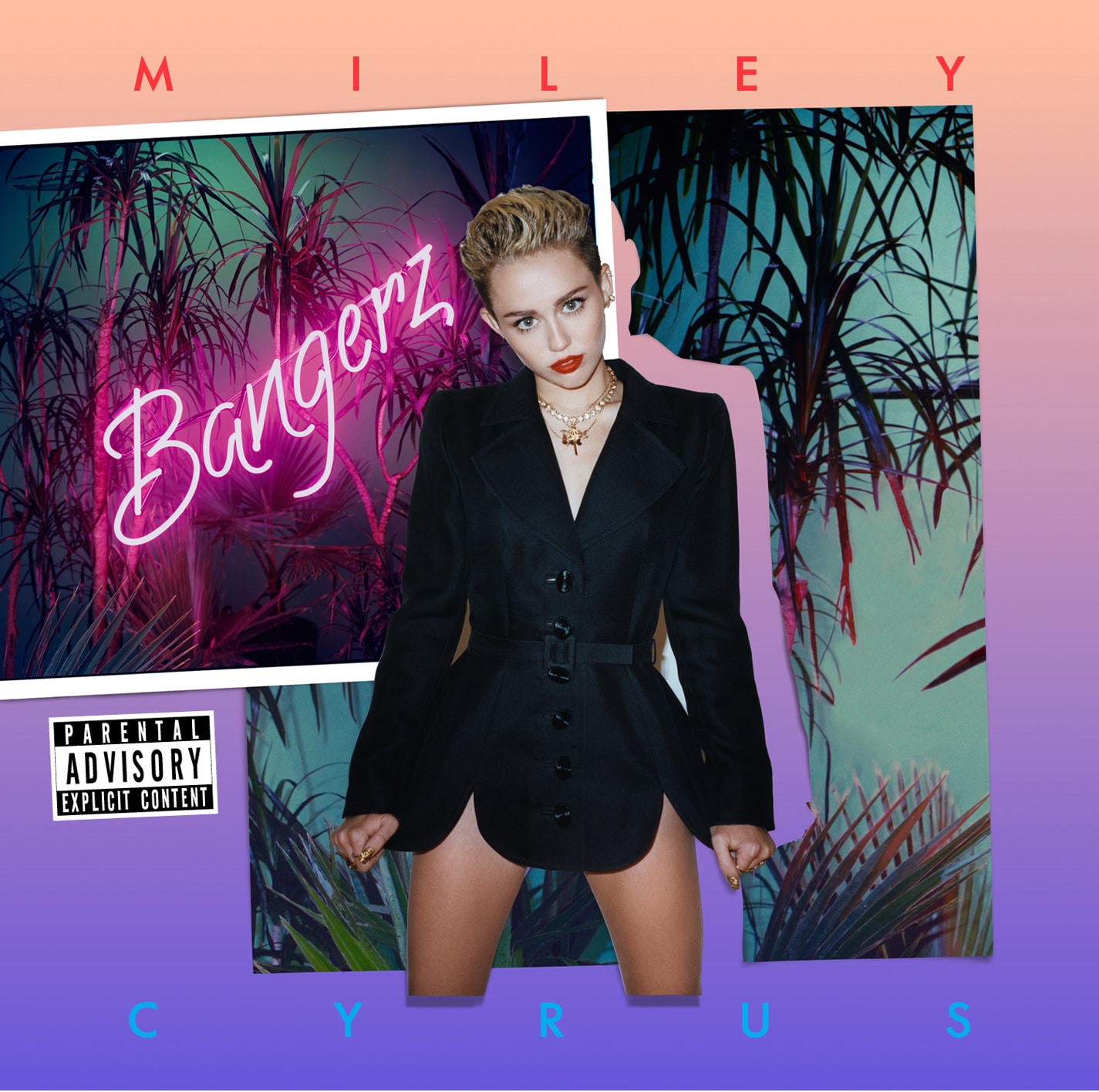 Miley Cyrus   Bangerz (Parental Advisory)   Shopping   Great