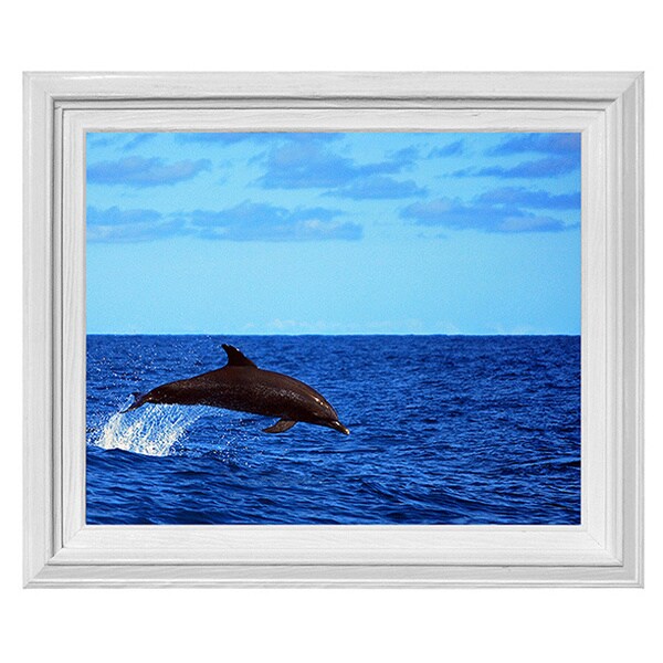 Shop Chris Doherty Framed 'Dolphin' Wall Art Free Shipping Today
