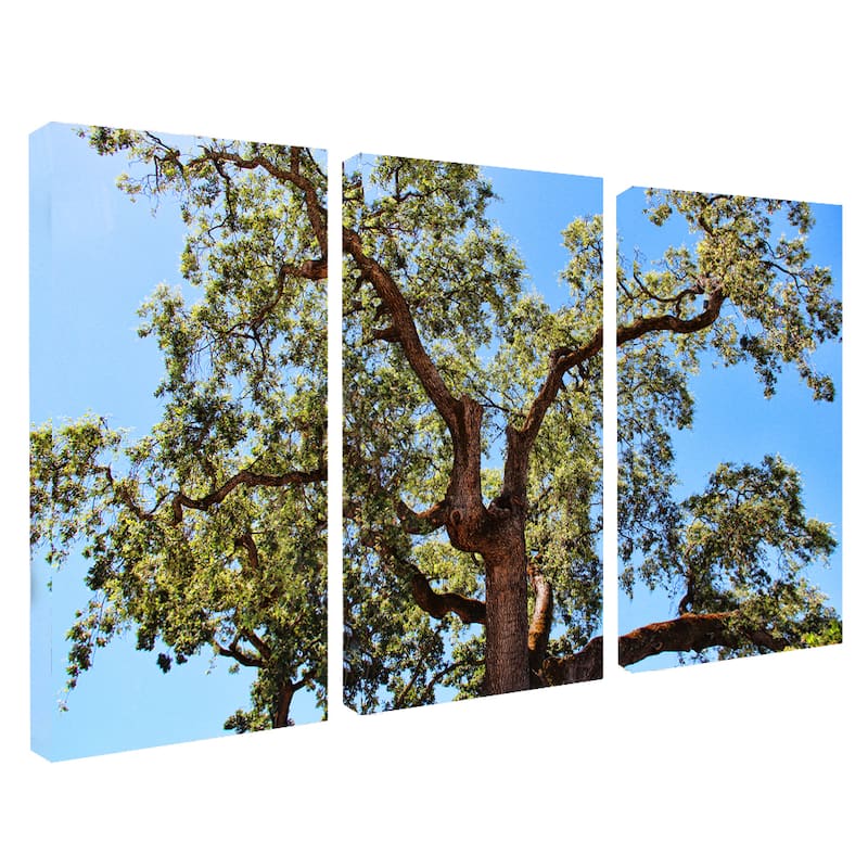 Chris Doherty 'Tree' 3-piece Canvas Wall Art Set