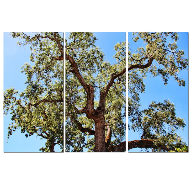 Chris Doherty 'Tree' 3-piece Canvas Wall Art Set