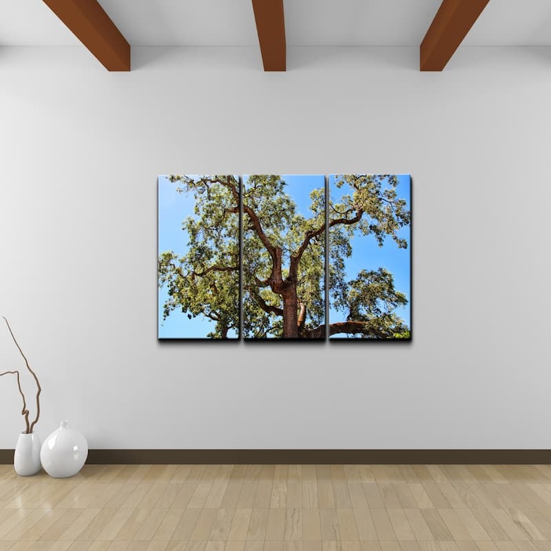 Chris Doherty 'Tree' 3-piece Canvas Wall Art Set
