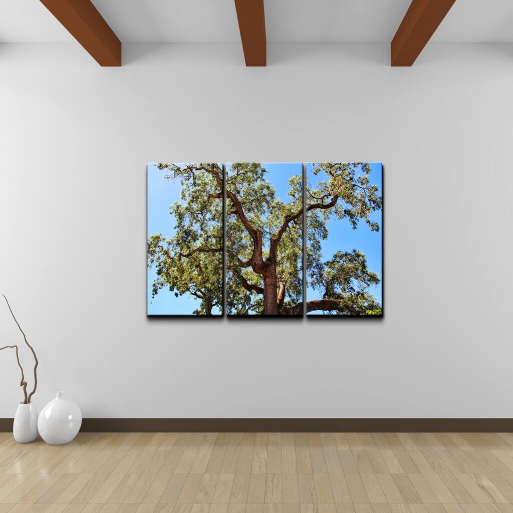 Chris Doherty 'Tree' 3-piece Canvas Wall Art Set